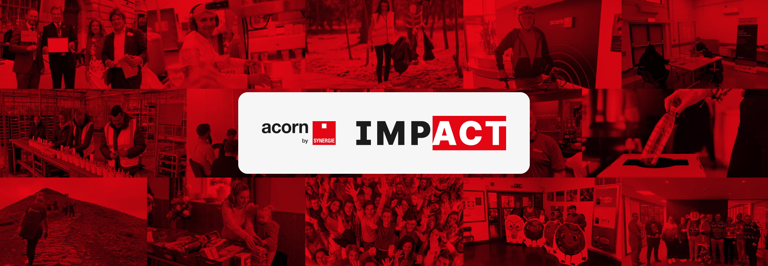 Acorn Impact